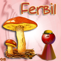 ferbil