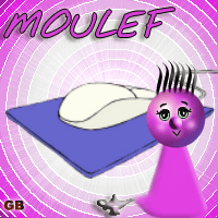 moulef